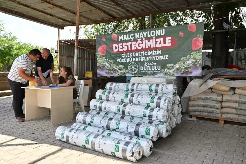 Manisada çilek üreticisine Büyükşehirden destek