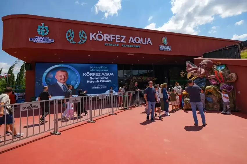 Kocaelide 2 günde su altı yaşamını 36 bin 809 kişi keşfetti