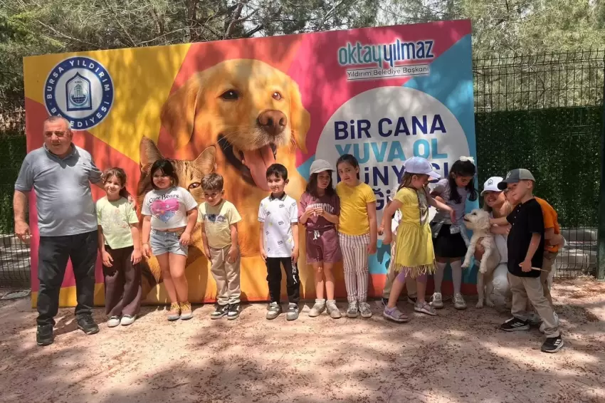 Bursa Yıldırımda sahisiz sokak hayvanları öğrencileri ağırladı