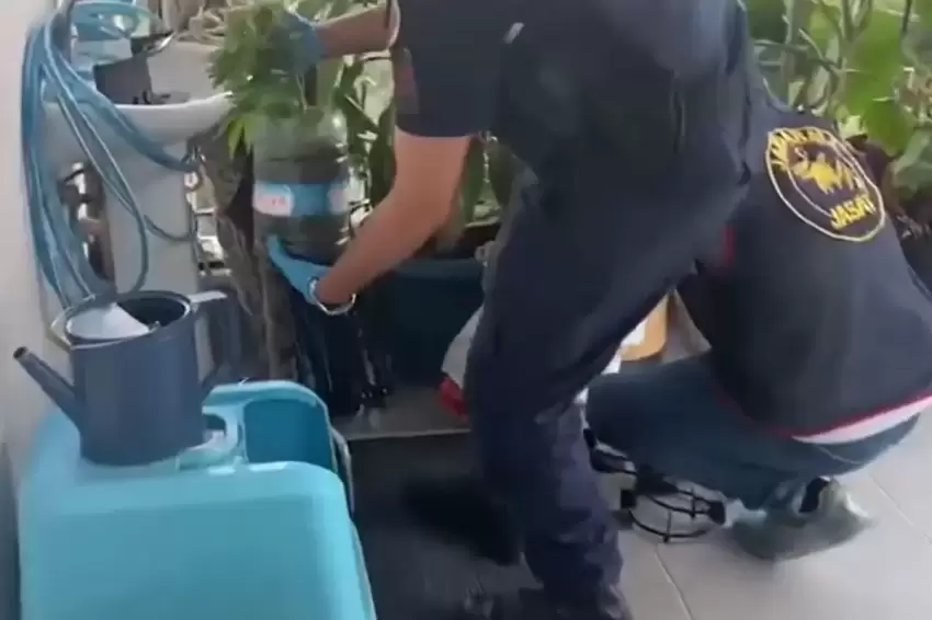 Jandarmadan 5 ilde uyuşturucuya 341 gözaltı