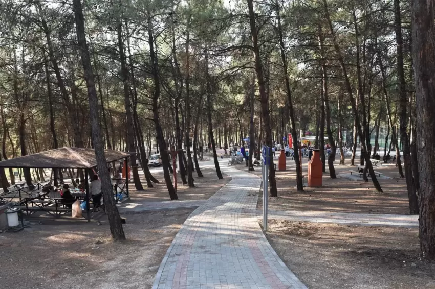 Bursada ormanlara giriş yasağı 15 Ekime kadar sürecek