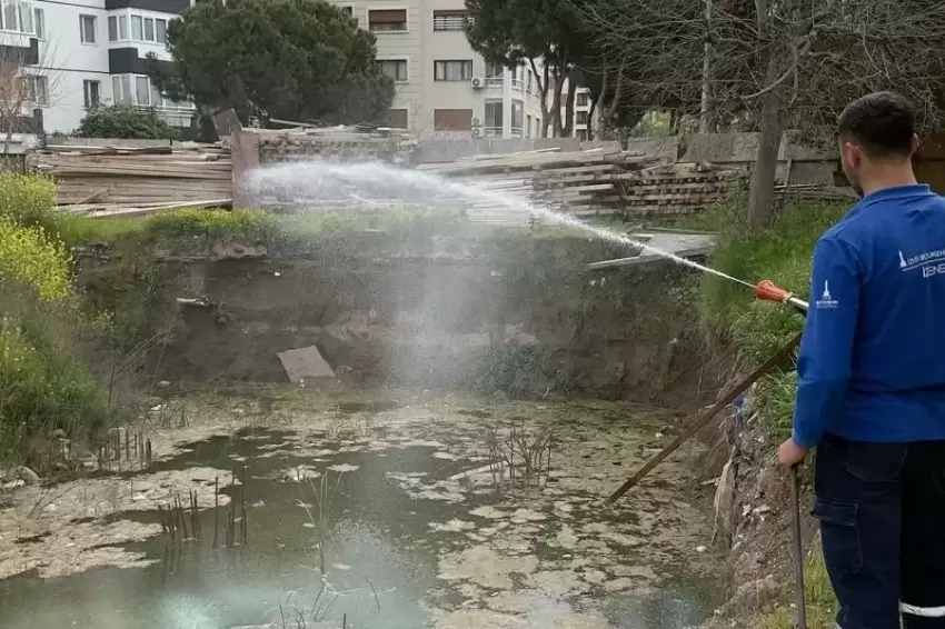 İzmirde sivrisineğe karşı dev mücadele