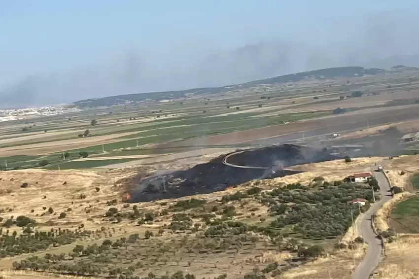 İzmir Foçada makilik alandaki yangın kontrol altında