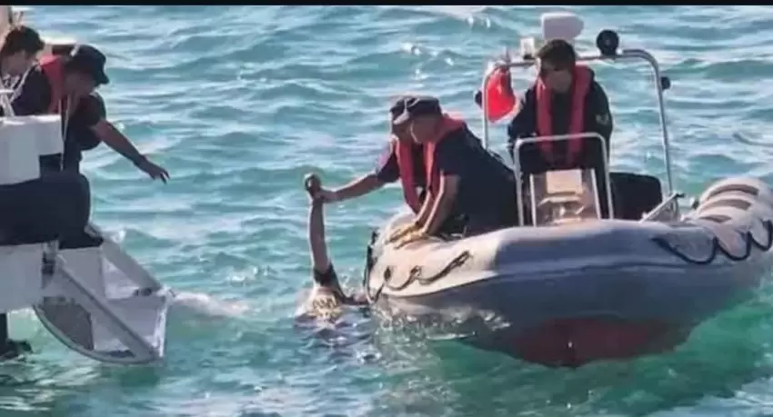 Balık sevdası hayatına mal oldu