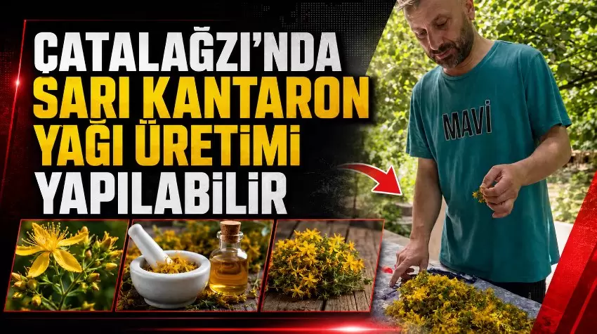 Çatalağzı Belediyesi Kantaron yağı üretimine başladı