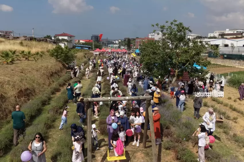 Çayırovalılar Lavanta Hasadında buluştu