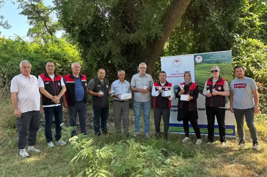 Bursada 5 bin Samuray Arısı doğaya salındı