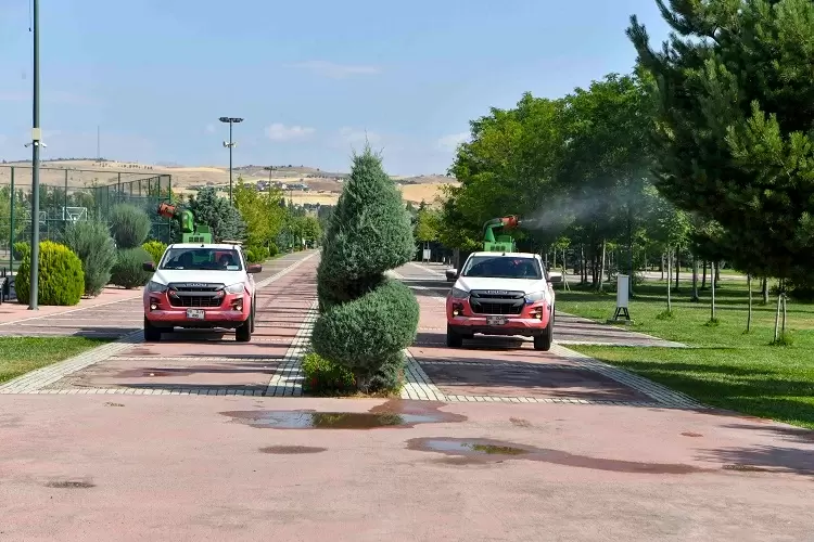 Ankara Büyükşehirde ilaçlama seferberliği