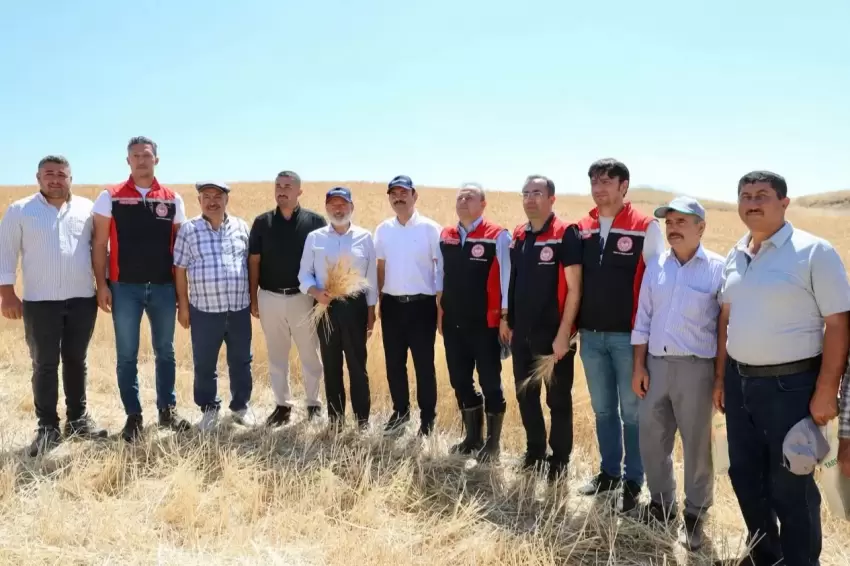 Kayseri Kocasinanda tarım buluşması hasatla açıldı