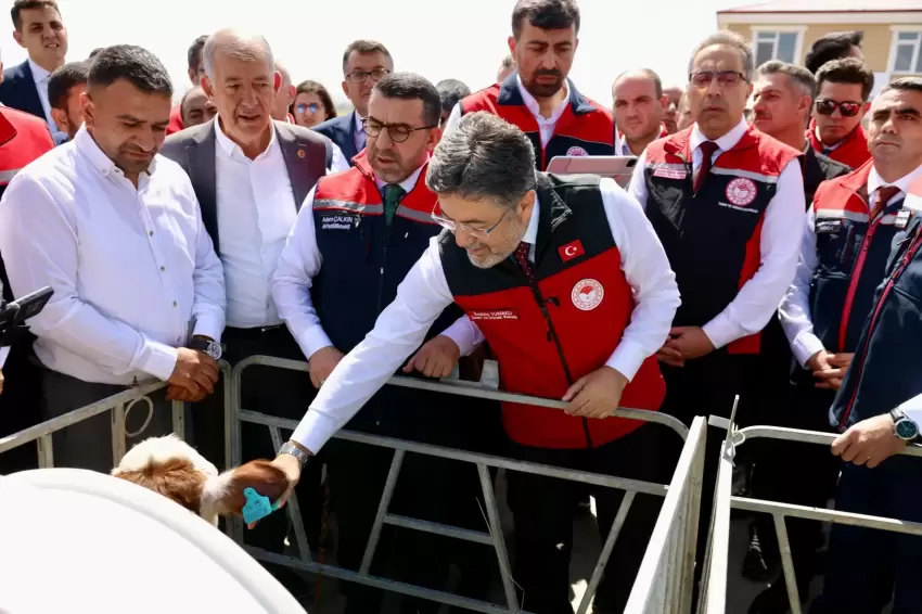 Hayvancılıkta dijital dönem... GEKİS Karsta uygulamaya alındı