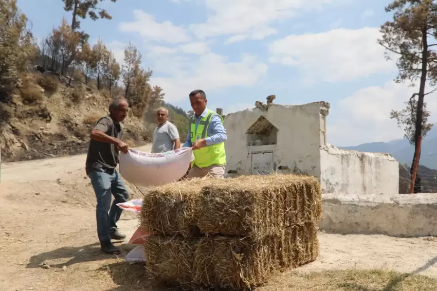 Muğla Seydikemerde yaralar hızla sarılıyor