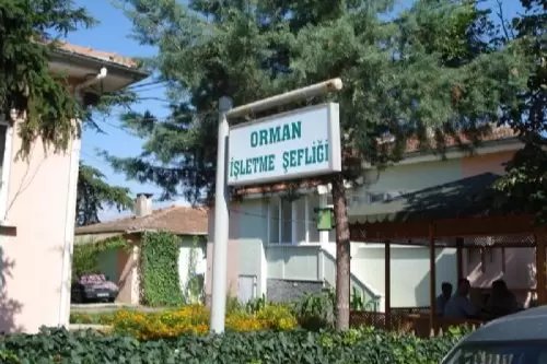 Kepsuta Orman İşletme Müdürlüğü kuruluyor