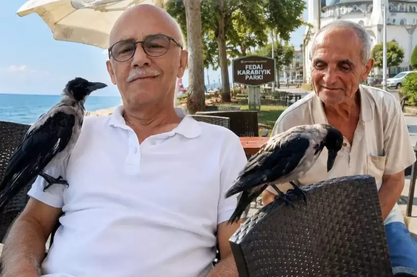 Düzce Akçakocada insanlarla dostluk kuran karga ilgi odağı
