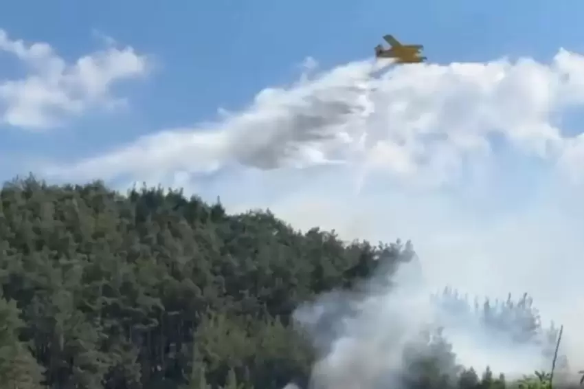 Balıkesir ve Bilecikte yangınlar kontrol altında
