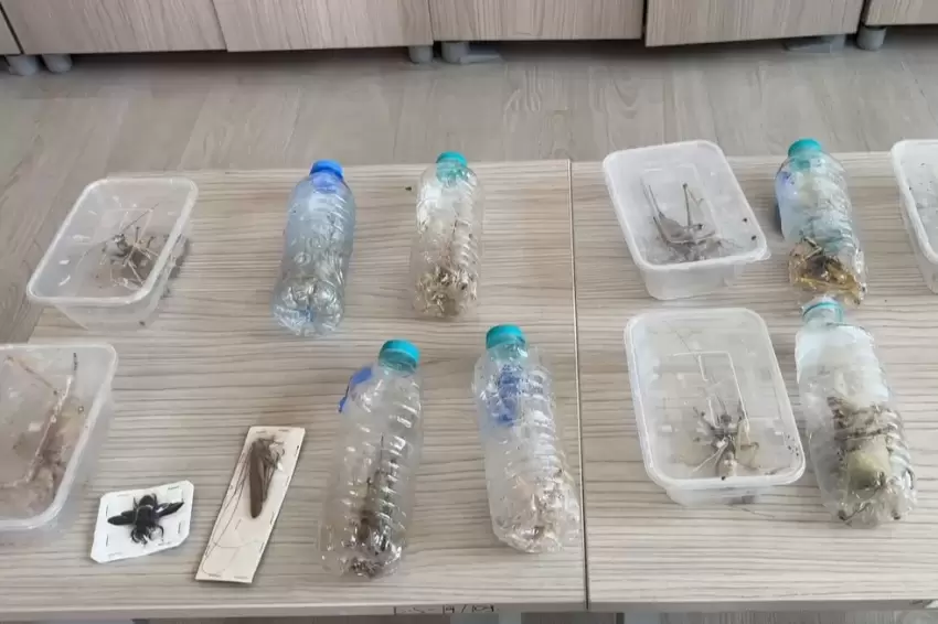Nemrutta biyokaçakçılık operasyonu 2 kişiye 1,4 milyon TL ceza