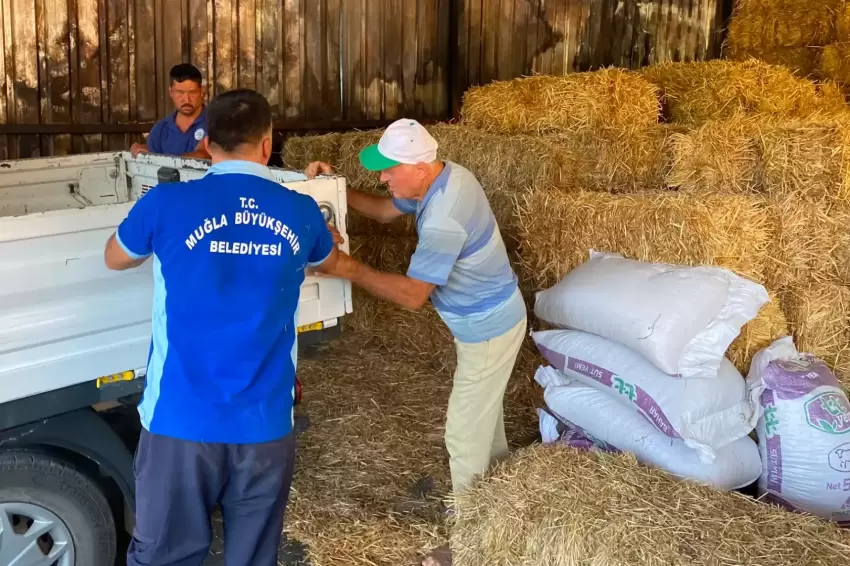 Muğlada yangın mağduru üreticiye destek