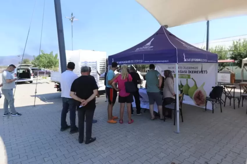 İzmirde Efes Selçuklu incir üreticisine destek