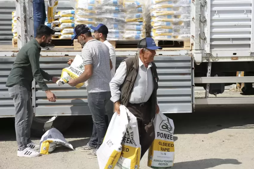 Ankarada kanola üretimine Büyükşehir desteği