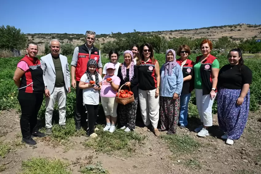 Yamanlar Tarla Domatesi için üreticilerle tarlada buluşuldu