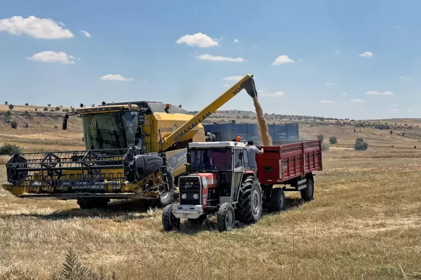 Kayseri Talasta can dostlara yem desteği