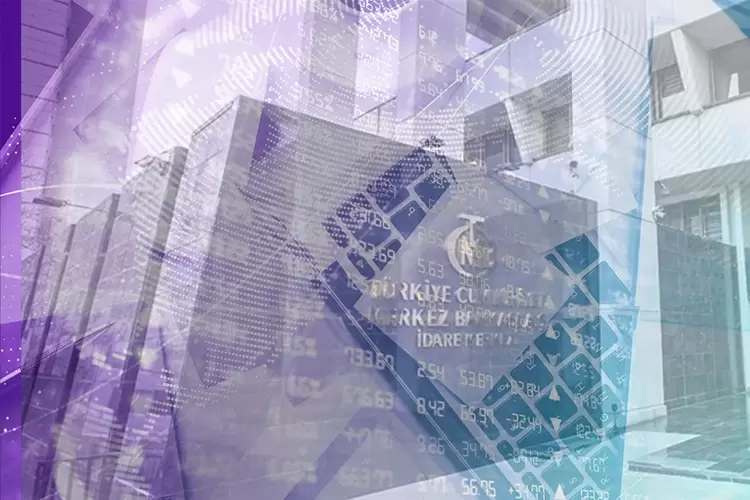 Merkezden iki elektronik para şirketinin faaliyetini iptal etti