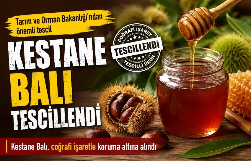 Kestane Balı coğrafi işaretle tescillendi