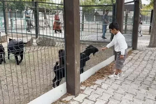Hayvanat Bahçesinde 30 Ağustos bereketi