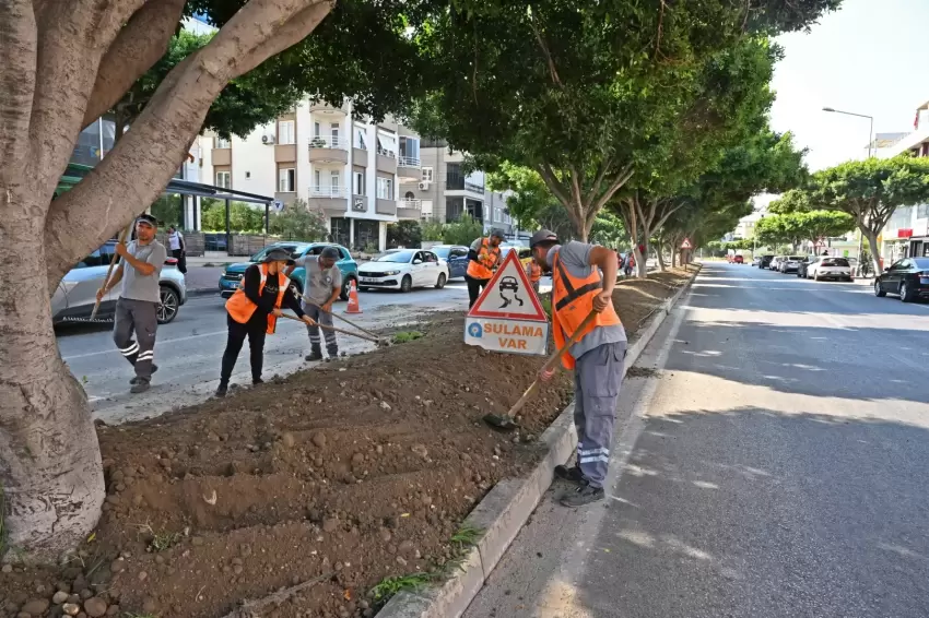 Antalyada kurakçıl peyzajla yeşil dokunuş