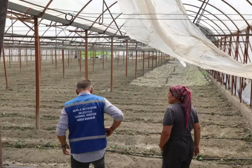 Muğlada zarar gören üreticiye naylon desteği
