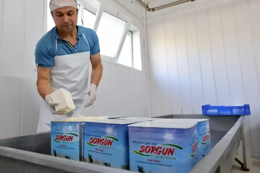 Bursa Kelesten Büyükşehire coğrafi işaret tescili teşekkürü