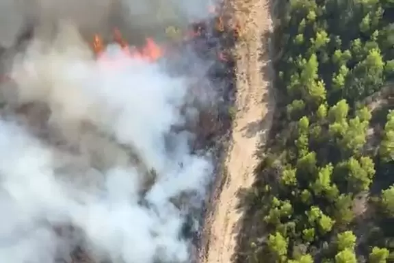 Antalya Serikte orman yangını
