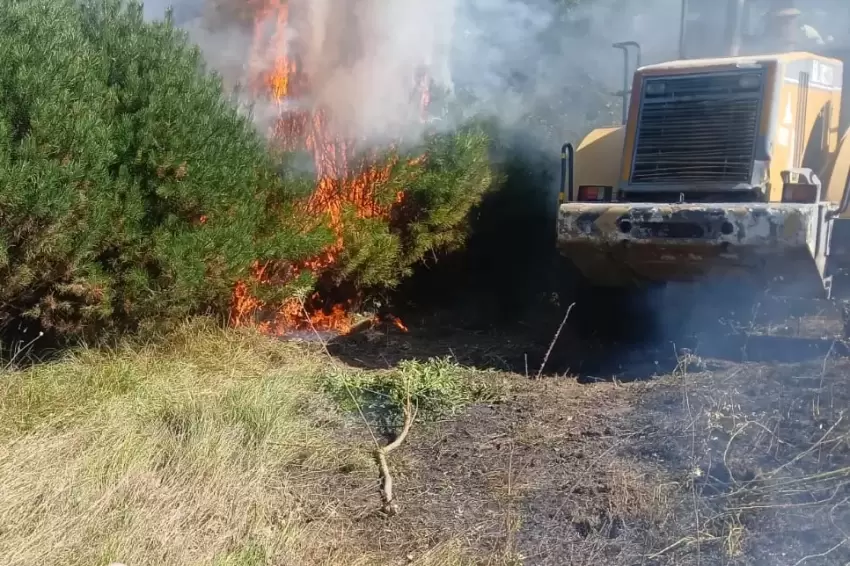 Düzcede fındık bahçesinde yangın