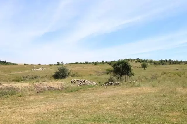 Bursada 2 bin 693 dekar alanda mera ıslahı yapılacak