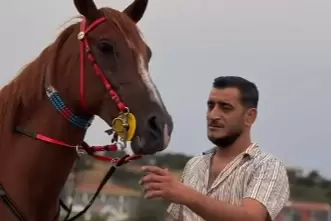 Edirne İpsalada Arap atı sevgisini yaşatıyor