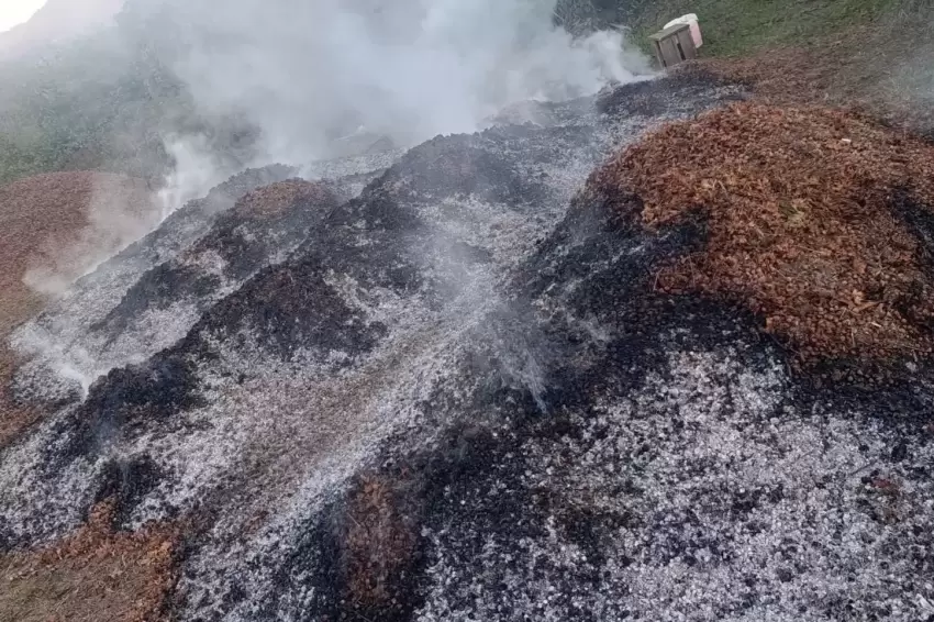 Düzce Akçakocada fındık bahçesinde yangın