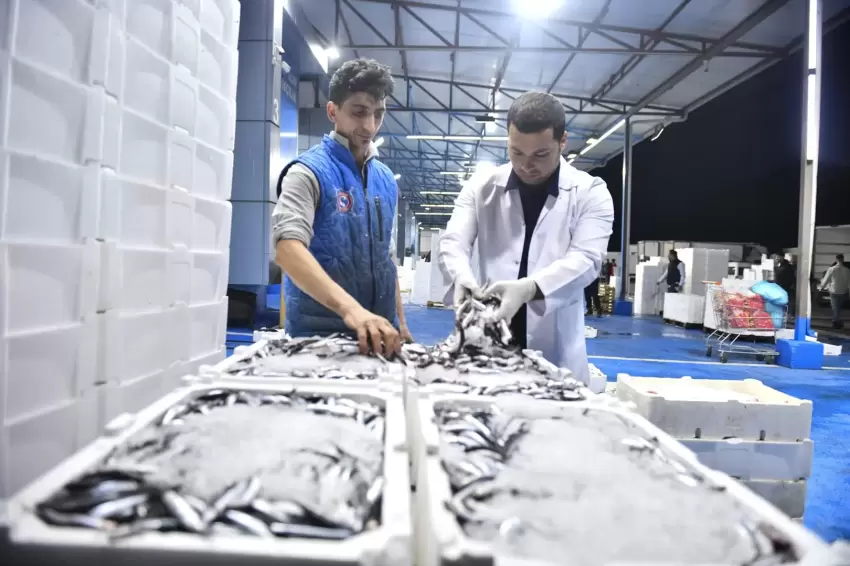 Ankara Balık Halinde sıkı denetim