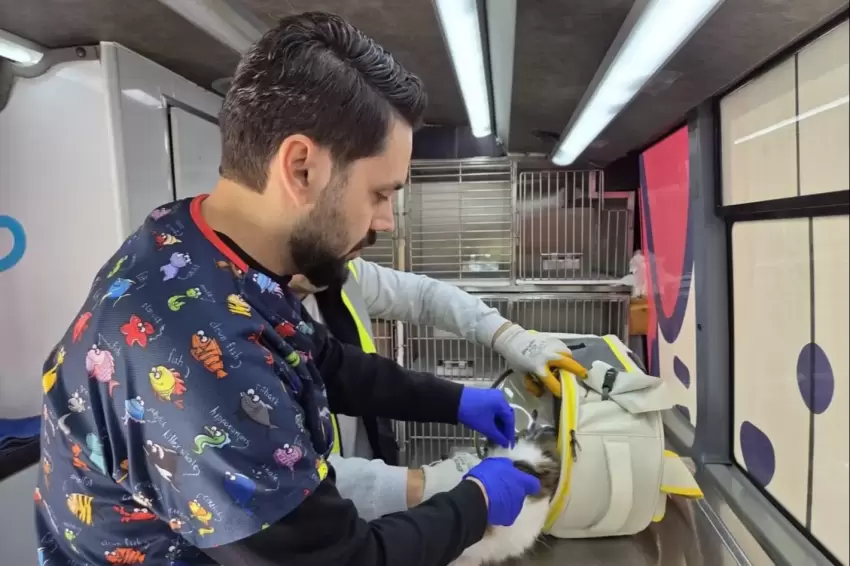 Balıkesirde can dost aracı yollarda