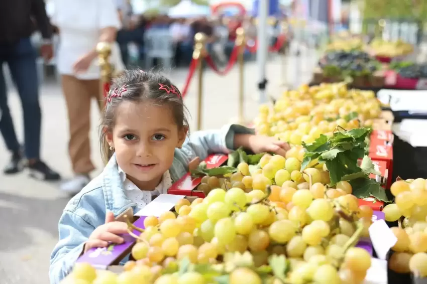 Bursa Osmangazide üzüm bereketi festivalle taçlandı