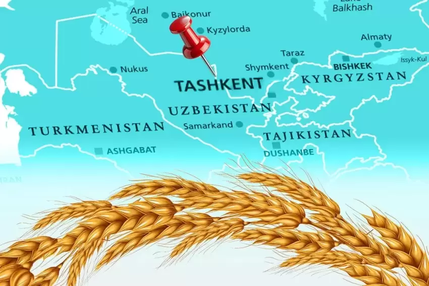 Türkiye un ihracatında 12. şampiyonluk hedefini koydu... Tahıl sektörü Taşkentte buluşuyor