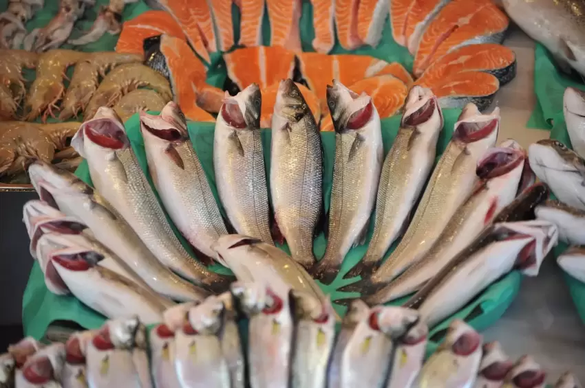 Su ürünleri sektörü Future Fish Eurasiada buluşuyor