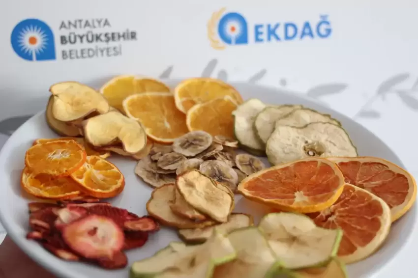 Antalyada Meyve-Sebze Kurutma Tesisi hizmete girdi