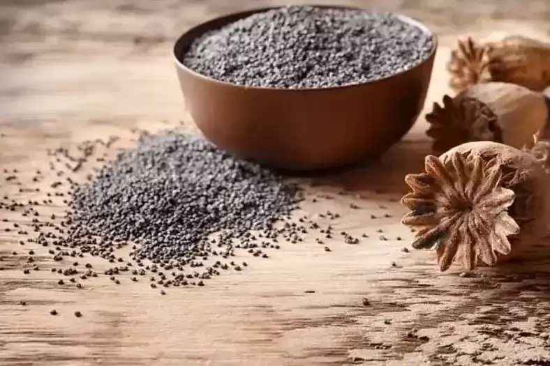 Haşhaş alım fiyatları belli oldu... Başvurular 30 Ekimde sona erecek