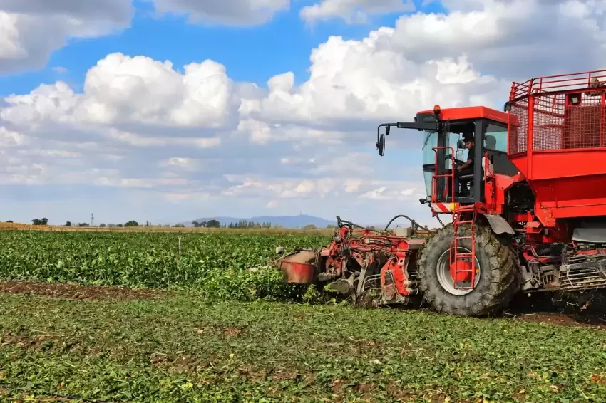 Konya Şekerden üreticilere çifte avans müjdesi