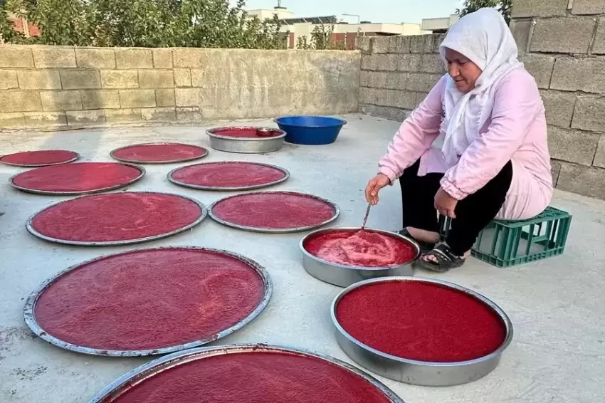 Adıyamanda kış hazırlıkları hızlandı... Damlarda salça mesaisi başladı
