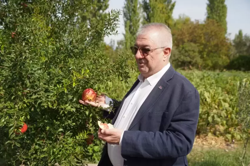 Balıkesir Edremit Belediyesi ata tohumlarını geleceğe taşıyor