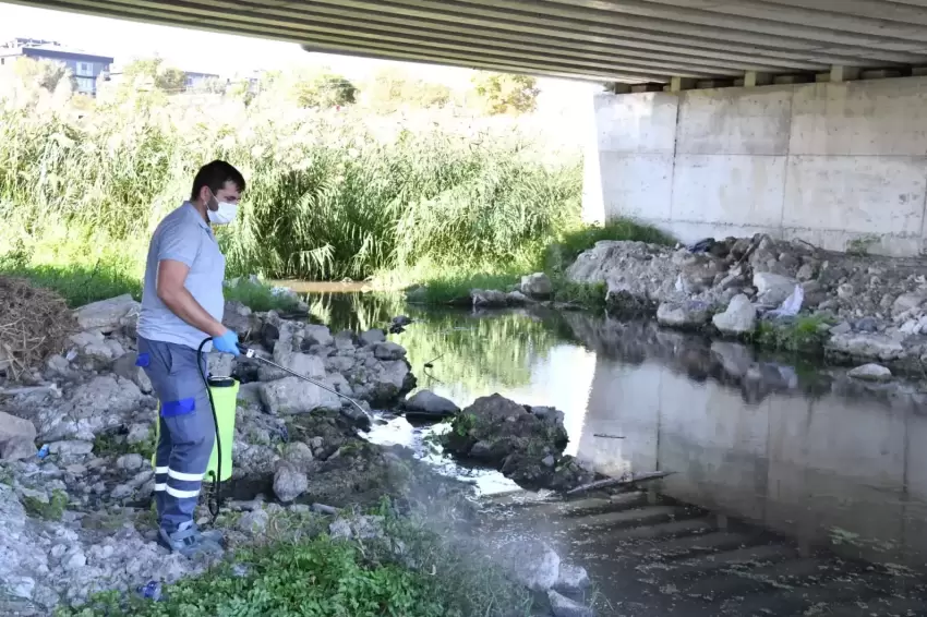 Çanakkalede ısıran karasinek alarmı