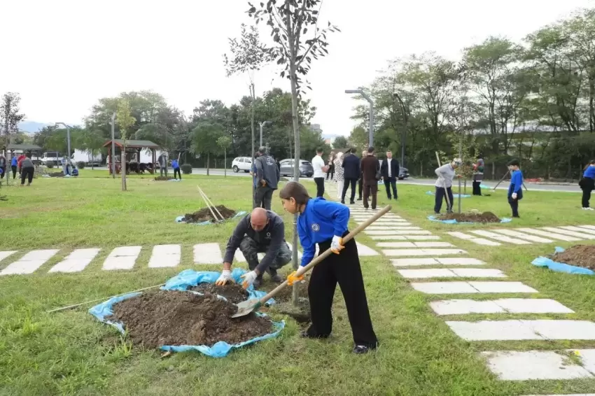 Orduda öğrenciler Melette ağaçları toprakla buluşturdu