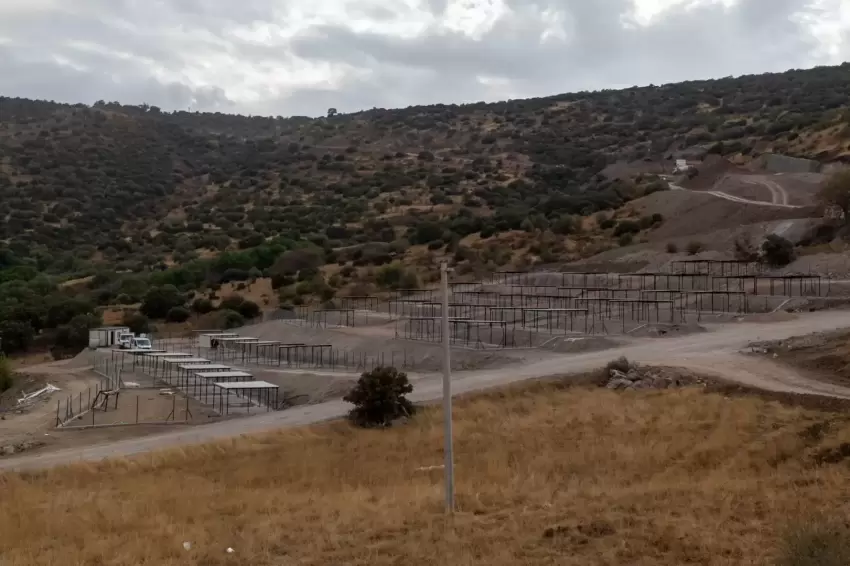 Dikiliye tam teşekküllü sokak hayvanları kampüsü