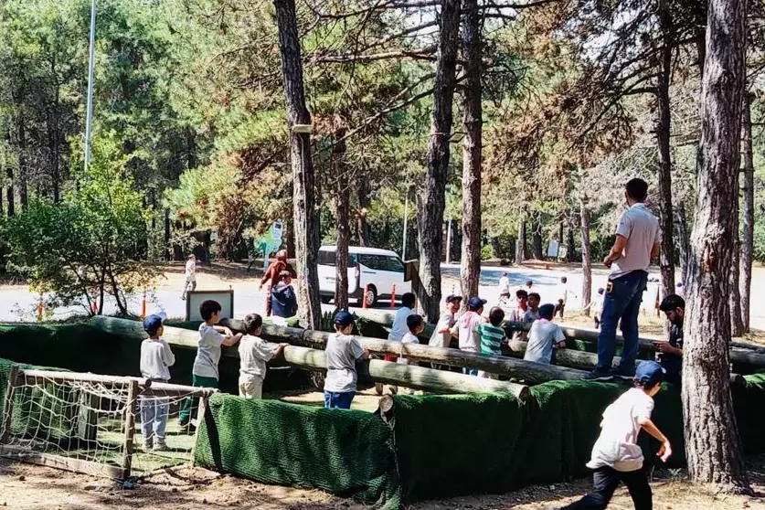 Devlet korumasında 2.240 çocuk yararlandı