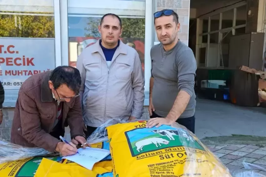 Mustafakemalpaşada üreticilere 2 ton İtalyan çimi tohumu desteği